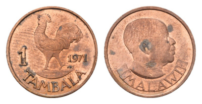 Малави 1 тамбала 1971 KM 7 бронза aUNC 4655-122