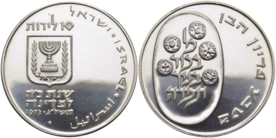 Израиль 10 лир 1973 обряд выкупа первенца Pidyon Haben, гурт гладкий KM 70.1 серебро UNC 1080-2-52
