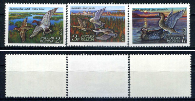 Россия набор из 3 марок (1, 2 и 3 рубля) 1992 уктки - чирок-трескунок, красноголовый нырок, касатка Загорский F 35, F 36, F 37    марка с оригинальным клеем, без следов наклейки (чистая) 8707-5-6-1